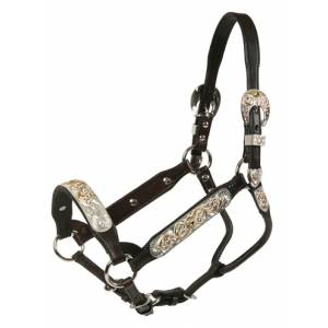 Tory Leather San Diego Congress Style Show Halter & Lead