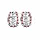 Montana Silversmiths Horseshoe Earrings with  Star Center and Rhinestones