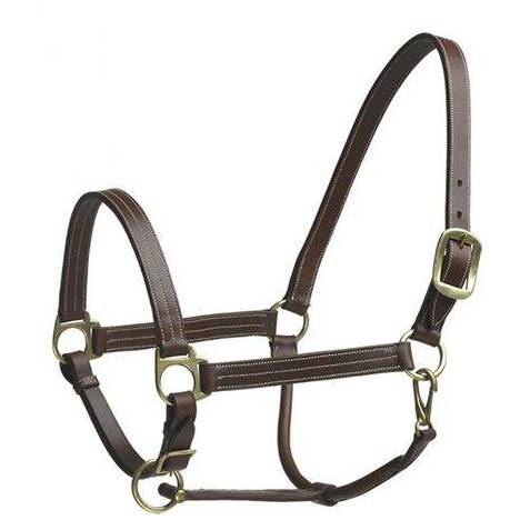 Camelot Stable Halter Pony