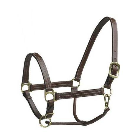 Camelot Stable Halter Cob