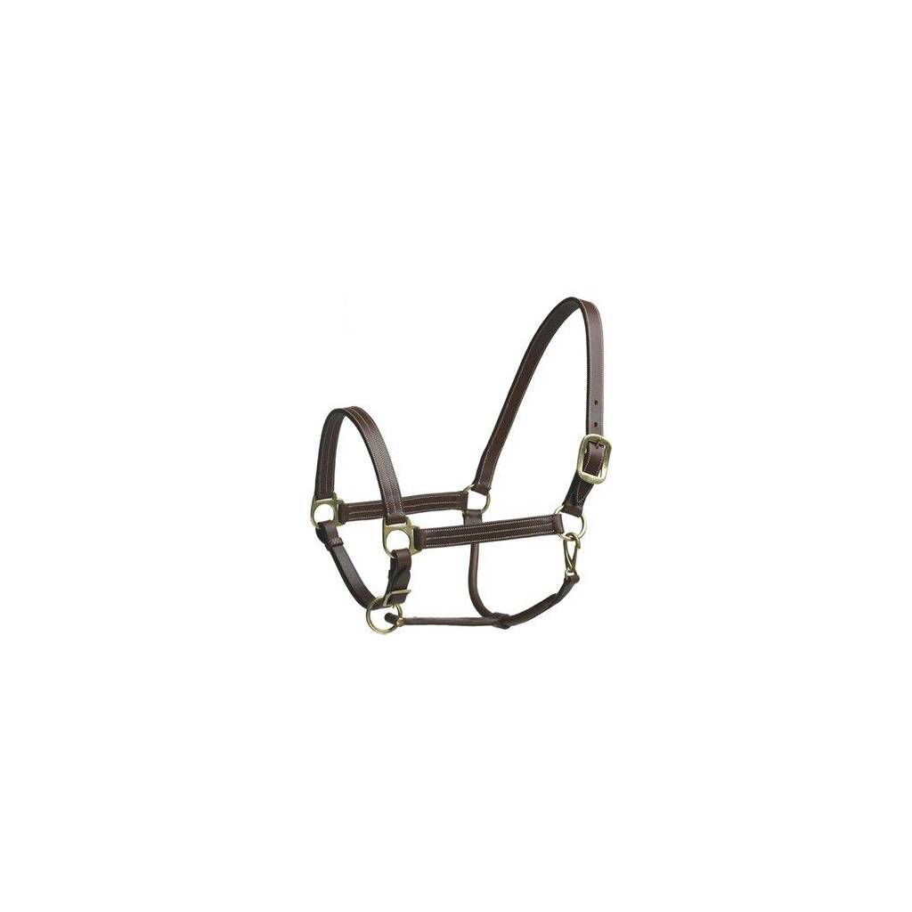 Camelot Stable Halter Horse