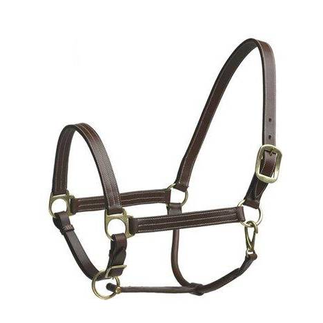 Camelot Stable Halter Horse