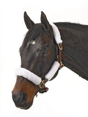 Centaur Fleece Halter Tube Kit w-Velcro