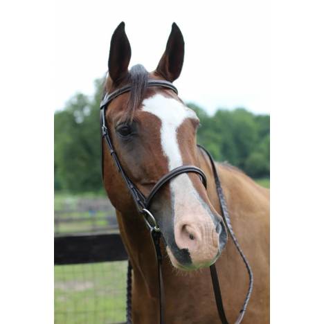 Henri de Rivel Pro Fancy Raised Bridle With Laced Reins