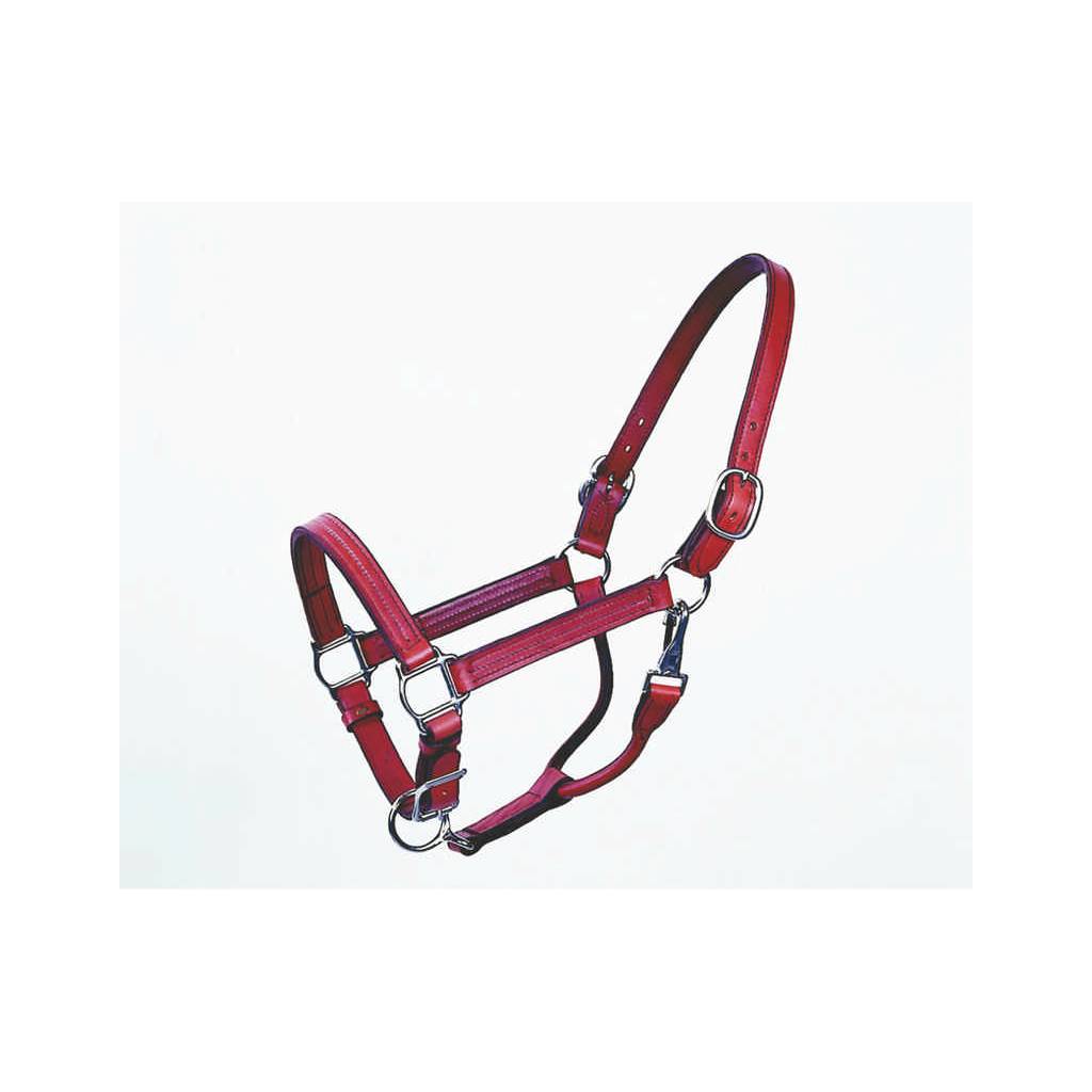 Halter Track 1 Inch