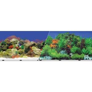Coral Fresh aquarium Background Double Sided