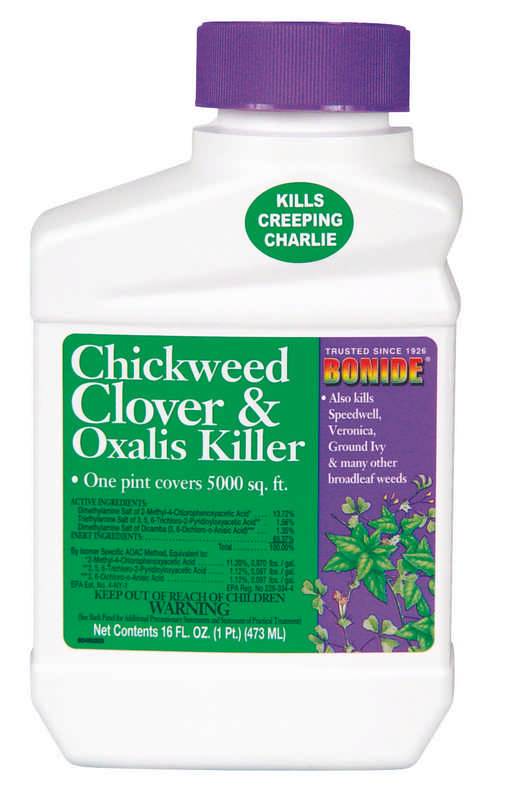 Chickweed Clover Oxalis Killer - Concentrate