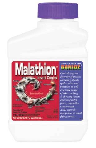 Malathion 50e Concentrate