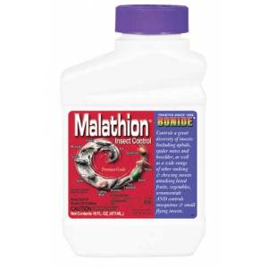 Malathion 50e Concentrate