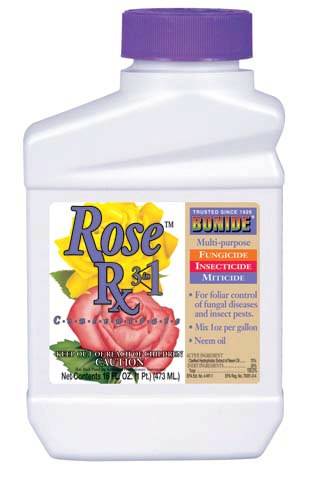Captain Jack's Rose Rx 4-In-1 Concentrate