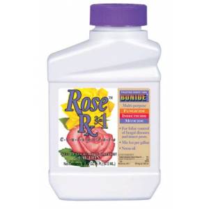 Rose Rx 3-In-1 Neem Oil Conc