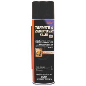 Termite & Carpenter Ant Contrl