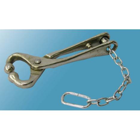 Bull Lead With Chain