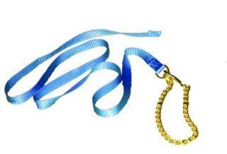 Lead Stick Nylon with Chain & Snap