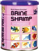 Brine Shrimp Fish Food