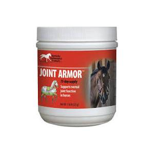 Joint Armor for horses