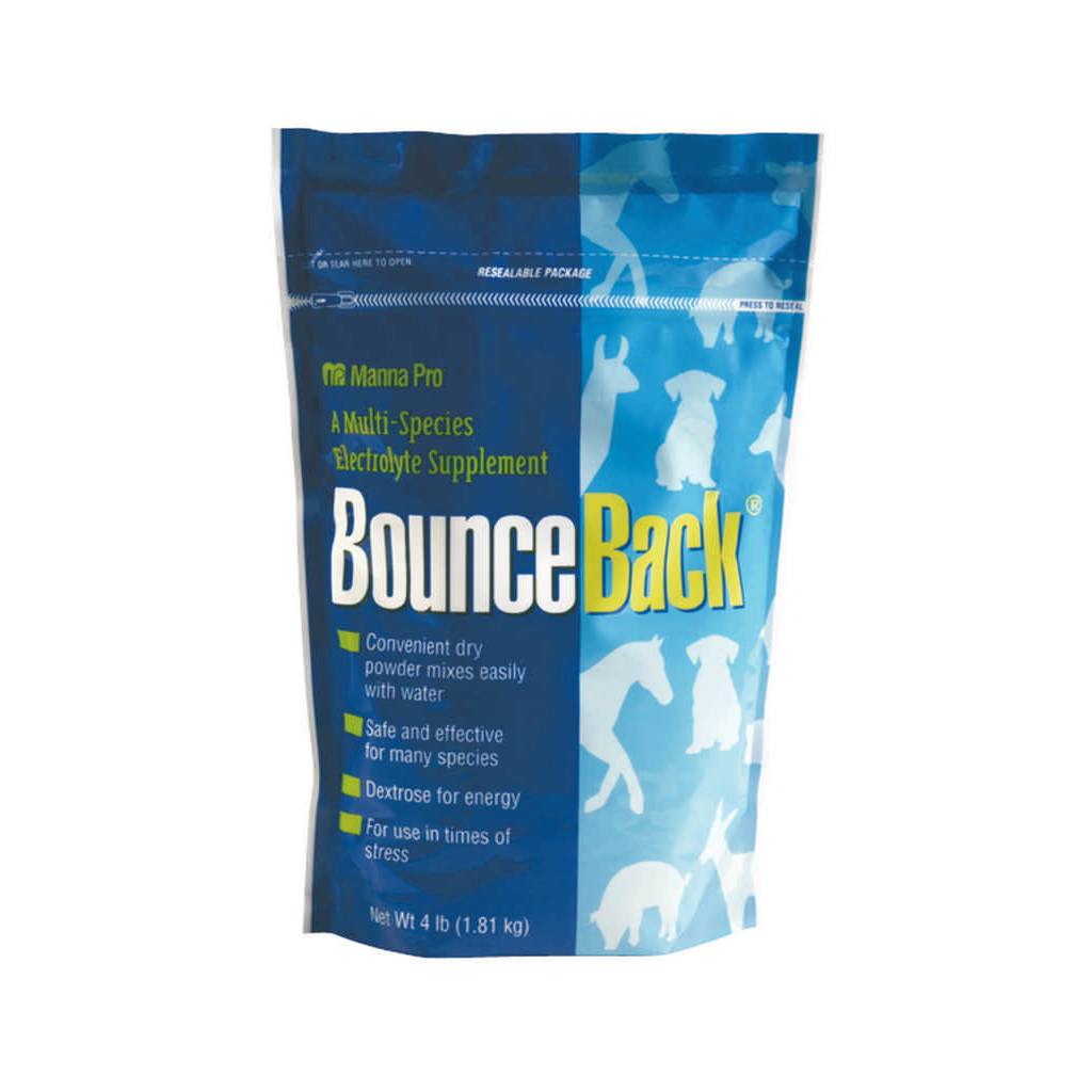 Bounce Back Electrolyte Calves