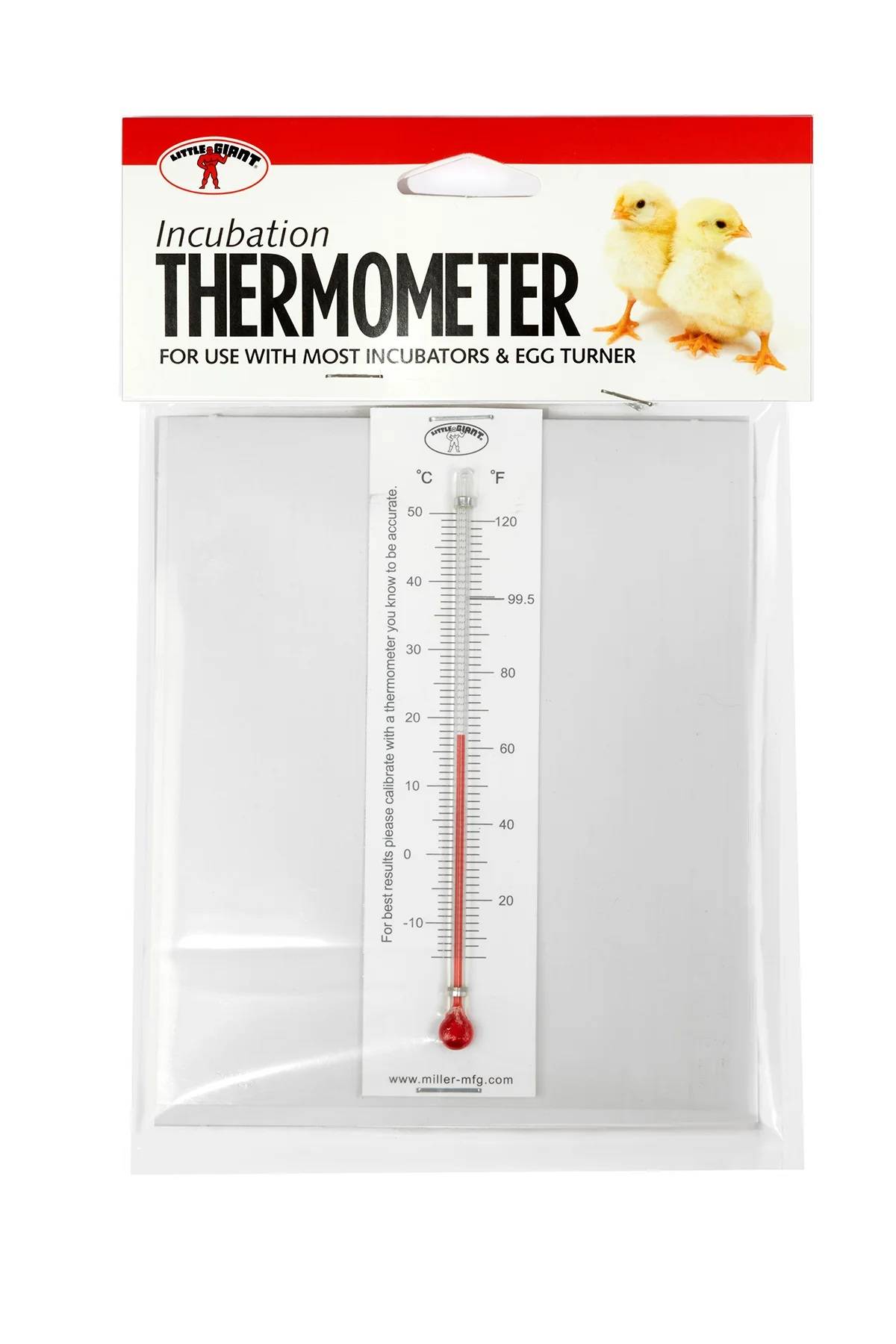Little Giant Incubator Thermometer