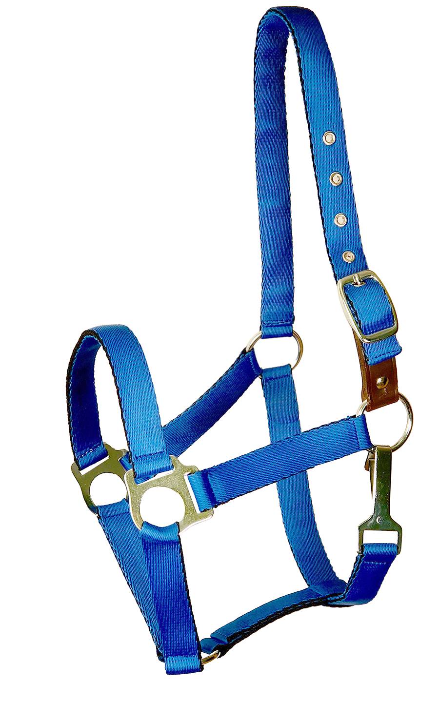 401119-ROYAL BLUE-OVERSIZE Gatsby Ultra Soft Nylon Safety Halter sku 401119-ROYAL BLUE-OVERSIZE