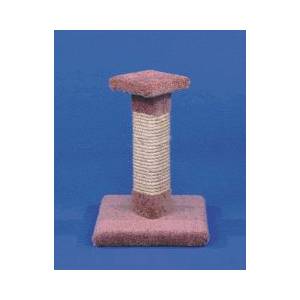 Kitty Cactus With Sisal Scratch Post