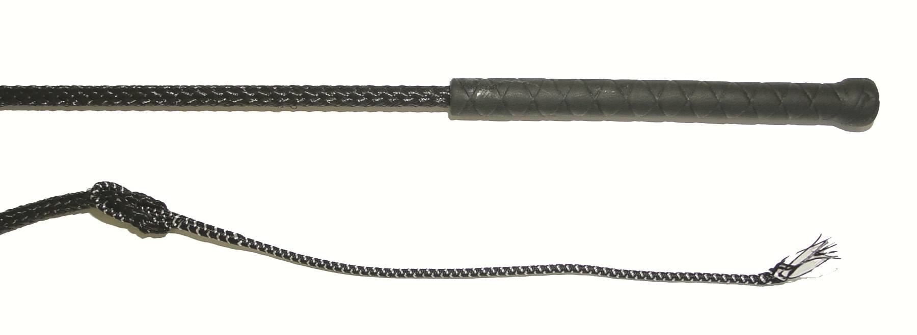 Lunge Whip With Popper