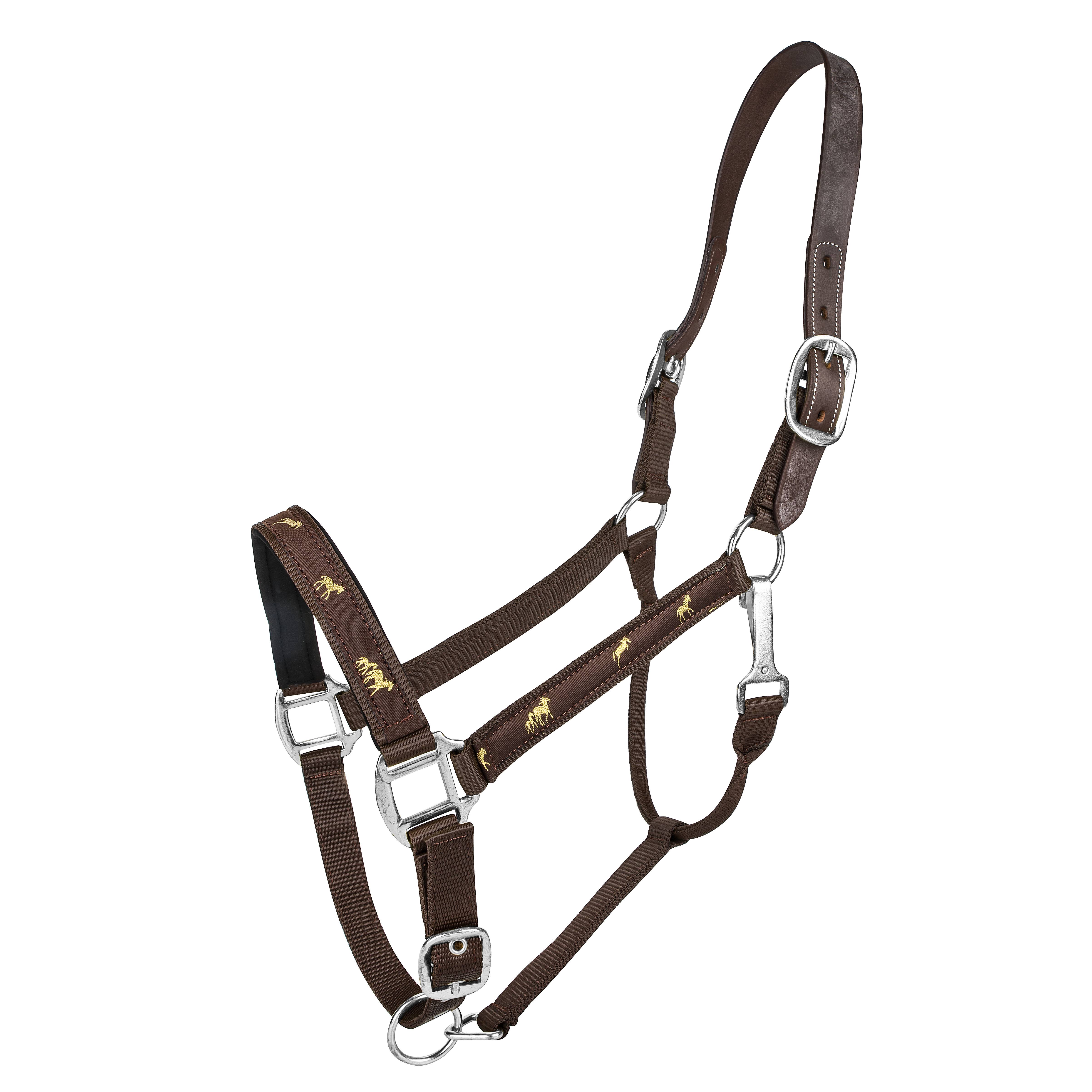 Gatsby Engraved Leather Halter with Snap