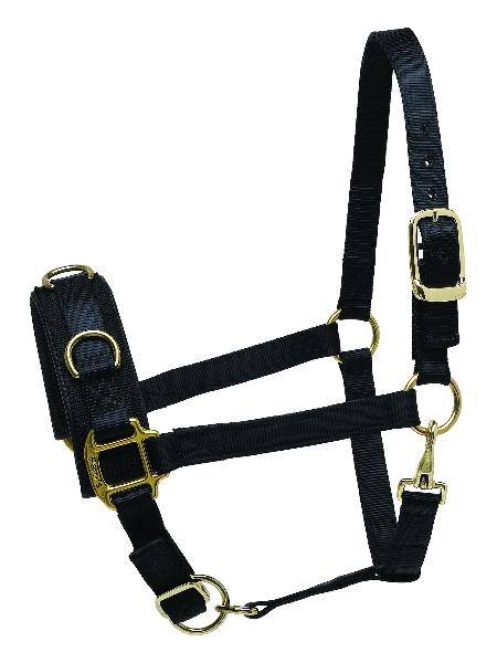 Perri's Nylon Lunge Caveson