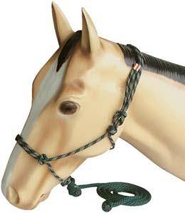 Abetta Tied Rite Mountain Halter with Lead