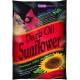 Brown's Song blend Dark Oil Sunflower