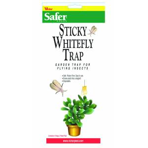 Safer Whitefly Disposable Trap