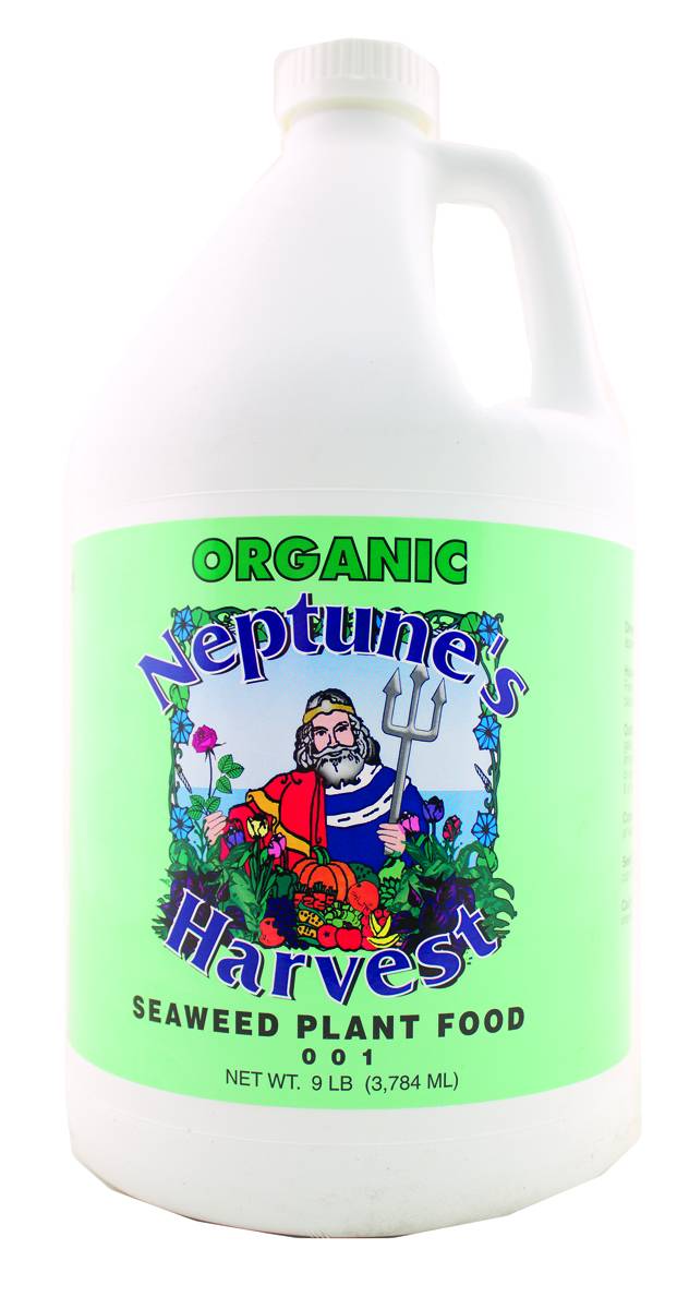 Neptune's Harvest Seaweed Plant Food