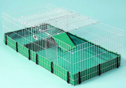 Guinea pig habitat plus sale