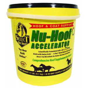 Nu-Hoof Accelerator