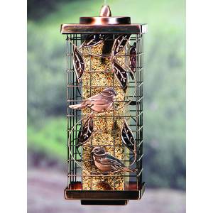 Caged Tube Squirrel-Resistant Feeder