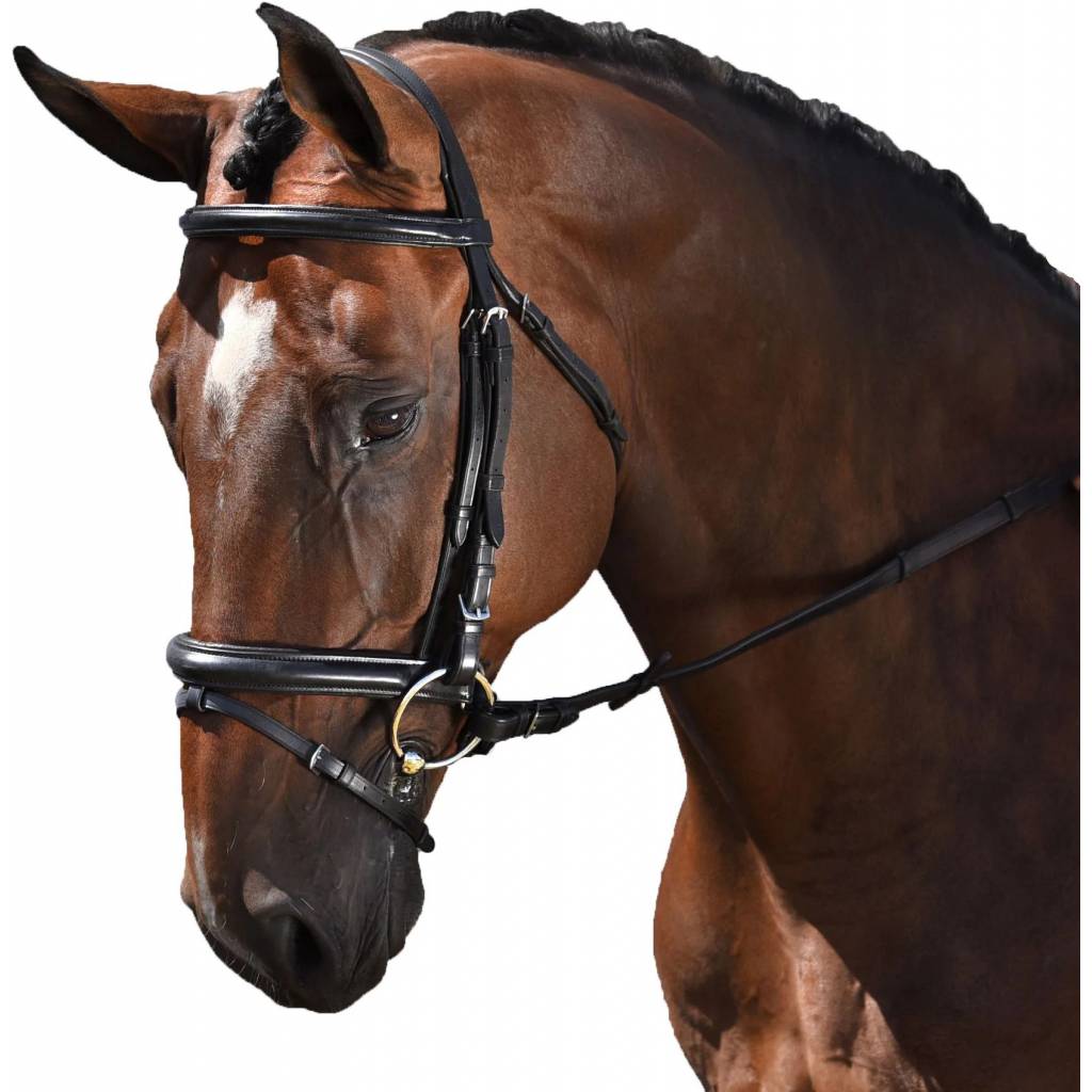 M. Toulouse Euro Style Dressage Bridle