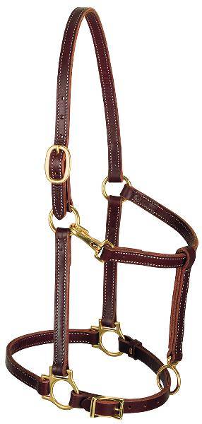 Weaver 3/4" Track Halter