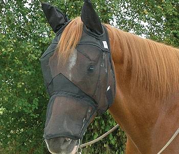 Long Nose with Ears Cashel Quiet Ride Horse Fly Mask 