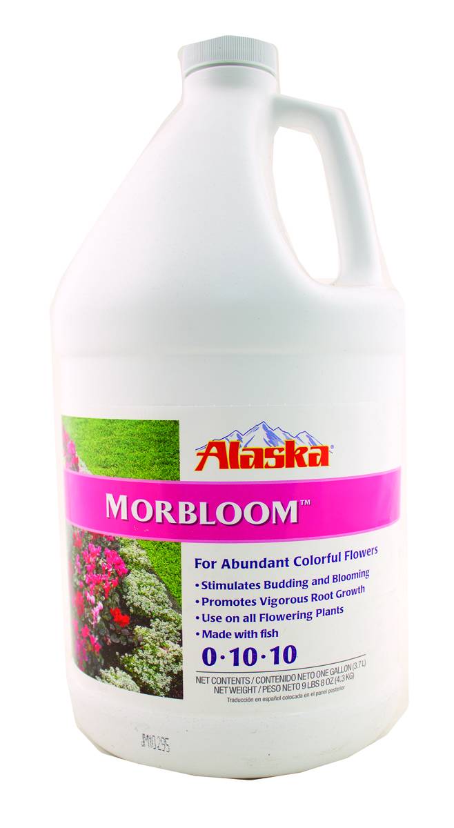 Alaska Morbloom 0-10-10