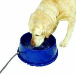 K&H Pet Dog Dishes & Feeders
