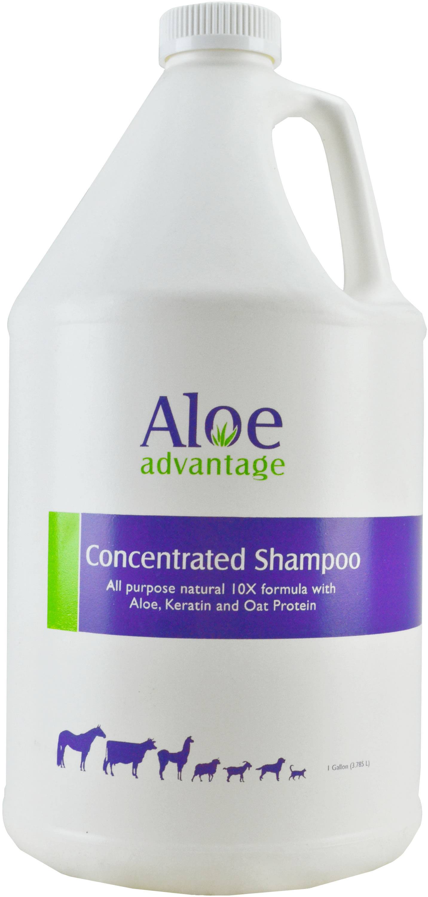Durvet Aloe Concentrated Shampoo 10X