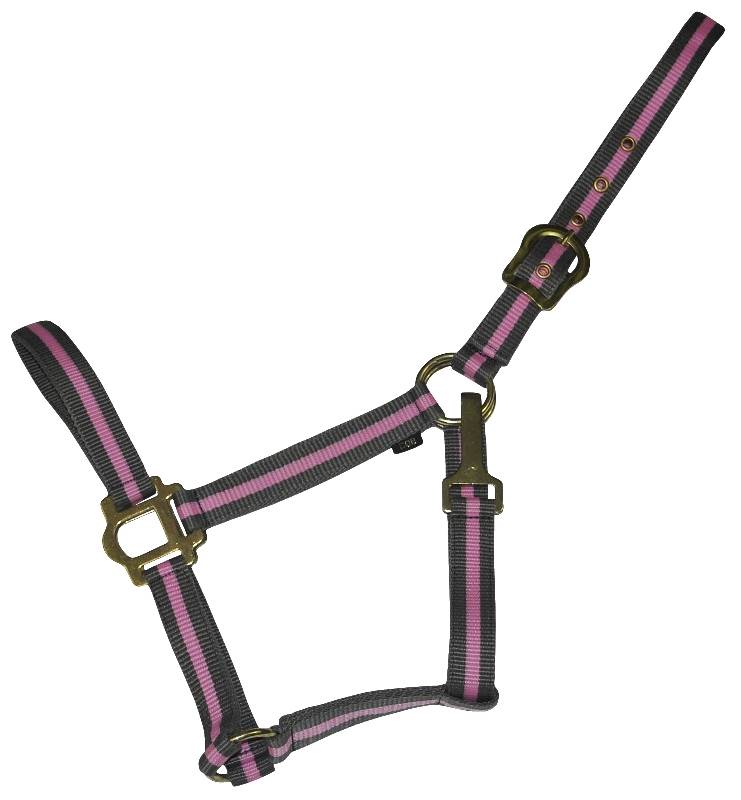 401085-GREY/PINK-COB Gatsby Classic 2-Tone Nylon Halter with Snap sku 401085-GREY/PINK-COB