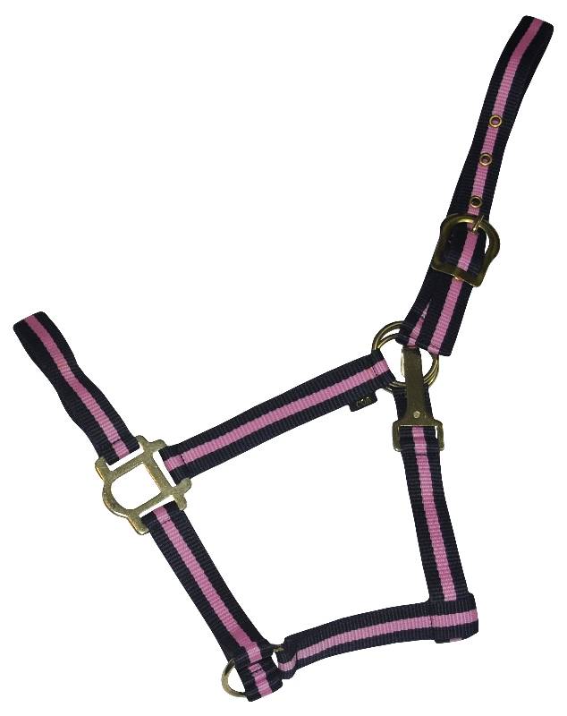 401085-NAVY/PINK-COB Gatsby Classic 2-Tone Nylon Halter with Snap sku 401085-NAVY/PINK-COB