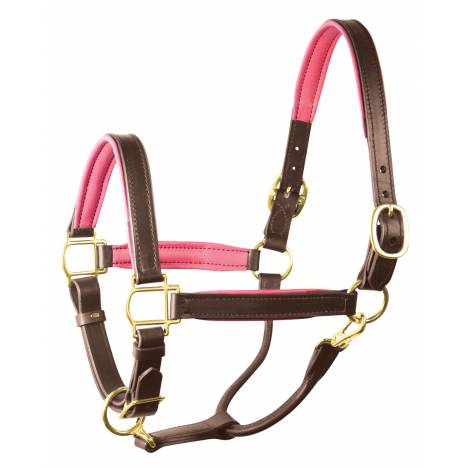 Perri's Soft Padded Leather Halter - FREE Breakaway Halter with Purchase - Valued at $41.00