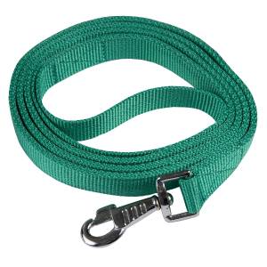 Gatsby Nylon Lead with Snap -Parrot Green - 6'