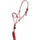 Mustang Yearling Economy Mountain Rope Halter and Lead