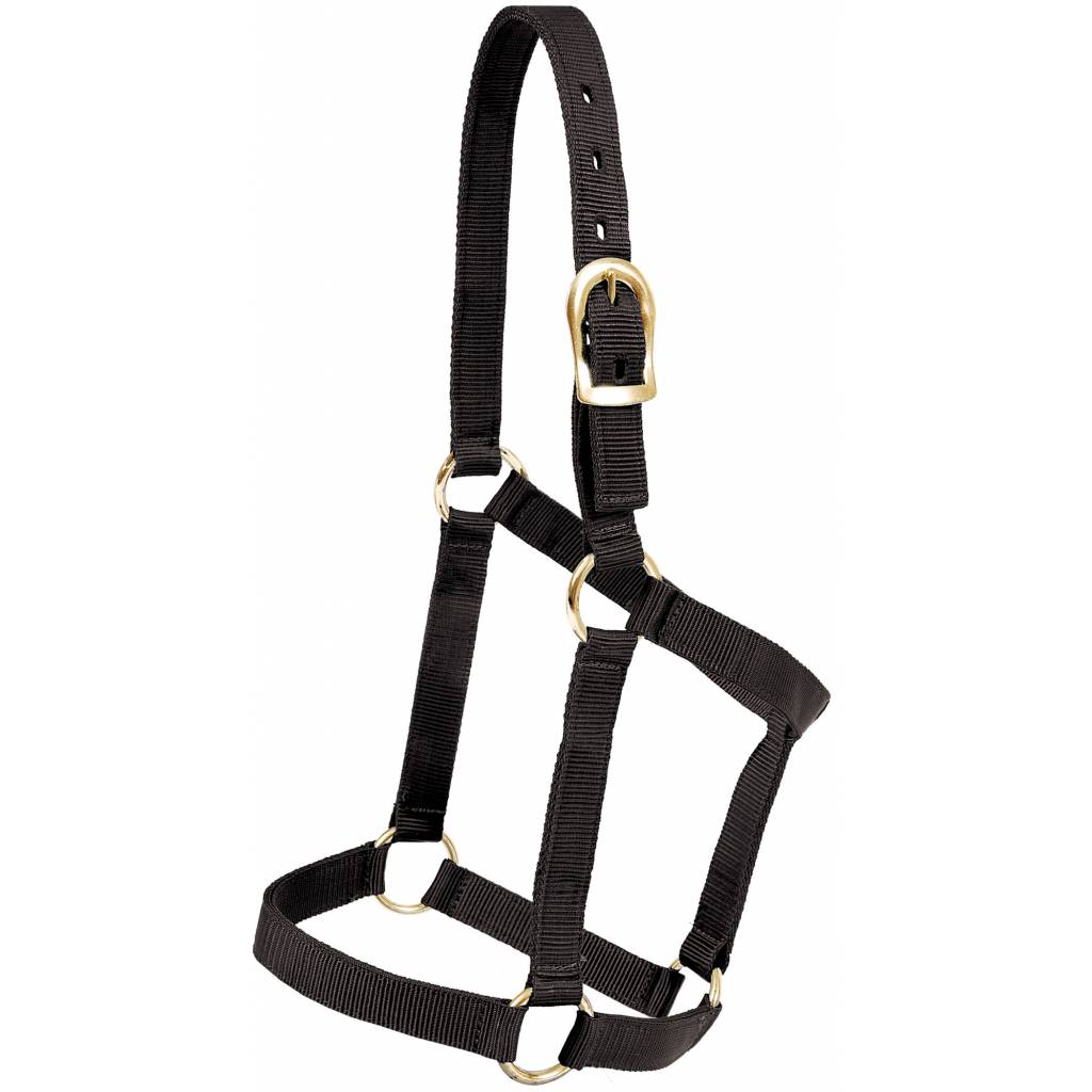 Mustang Regular Economy Halter