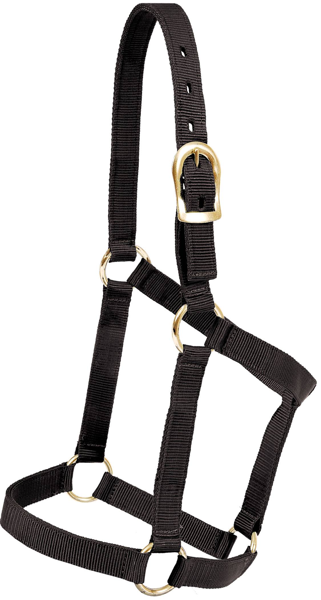 Mustang Yearling Economy Halter