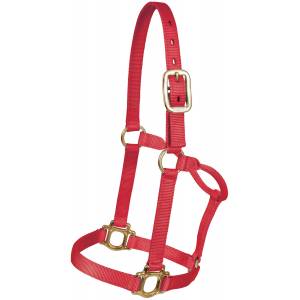 Mustang Traditional Nylon Halter with Brass Plated Hardware