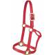 Mustang Traditional Nylon Halter with Brass Plated Hardware
