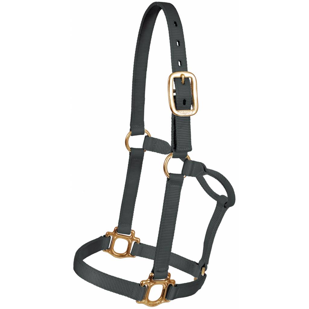 Mustang Colt Traditional Nylon Halter